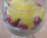 Foto del paso 5 de la receta: Copa de mango y yogur