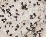 Foto del passaggio 2 della ricetta Sbriciolata ricotta e gocce di cioccolato