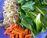 Foto langkah ke 1 dari resep Tumis SaToWo (sawi, touge, wortel).