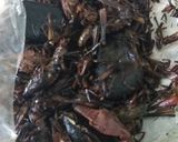 Foto del paso 2 de la receta: Quesadillas de chapulines
