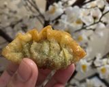 Foto langkah ke 3 dari resep Gyoza Goreng.