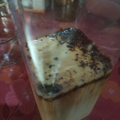 Langkah 2