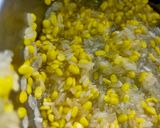 A picture of step 1 of Moong Dal Khichdi.