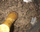 Foto del paso 1 de la receta: Tacu tacu