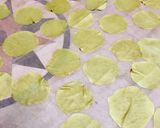 A picture of step 8 of Meethi- namkeen papdi.