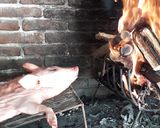 Foto del paso 1 de la receta: Lechón a la parrilla para fin de año🔥