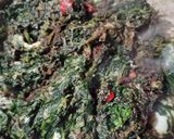 Foto del passaggio 7 della ricetta Spinaci filanti