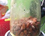 Foto langkah ke 3 dari resep Soto Bumbu Kacang Khas Sokaraja.
