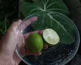 Foto langkah ke 2 dari resep 105. Jus jambu merah mix jeruk nipis.