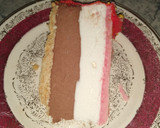 Foto del paso 8 de la receta: Torta helada con glaseado espejo marmoleado