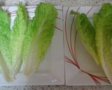 A picture of step 12 of Fish Salad.