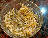 Foto del paso 9 de la receta: Brotes de fenogreco