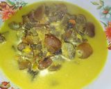Foto langkah ke 3 dari resep Kuah Santan Kulit Sapi.