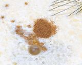 Foto del paso 4 de la receta: Torta de leche o pudin! 🍞🍞🍞