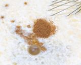 Foto del paso 4 de la receta: Torta de leche o pudin! 🍞🍞🍞