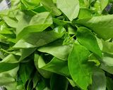 Hình bước làm 1 của món Canh rau ngót rừng