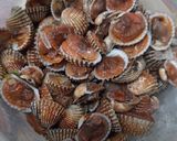 Foto langkah ke 2 dari resep Kerang Dara Saos Padang.