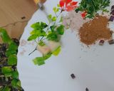 A picture of step 2 of Radish pod and guava salad.