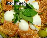 Foto langkah ke 5 dari resep 1008. Pecel Terong Kuah Santan (bumbu mentah).