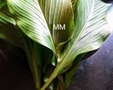 A picture of step 3 of Haladi Patra Pitha/Turmeric Leaves covered Cakes.