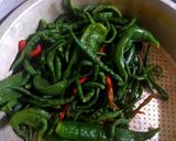 Foto langkah ke 3 dari resep Tempe ulek sambal cabe hijau.
