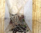 A picture of step 2 of Fried Spring Rolls with Pickled Vegetables.
