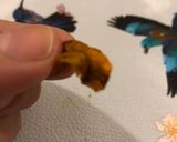 Foto del paso 3 de la receta Snack de zanahorias casero, en freidora sin aceite..... una maravilla en 15 minutos! 😋😋😋
