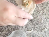 Dumpling de pollo