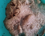 Foto del paso 1 de la receta: Pan de molde integral con avena