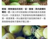 泡梅酒的食譜步驟2照片
