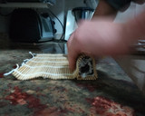Foto del paso 11 de la receta: Maki sushi de atún paso a paso