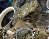 รูปขั้นตอนการทำที่ 5 ของ 간장게장 (Ganjang-gejang)Raw crabs marinated in soy sauce ปูดองสไตล์เกาหลี