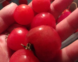 Foto del paso 2 de la receta: Huevo con tomate cherry y poro