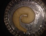 Foto del paso 2 de la receta: Ensaimada!!!