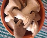 Foto del passaggio 2 della ricetta Orecchiette con cardoncelli🍄‍🟫🍅🌱