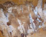 A picture of step 2 of Shawarma wrap.