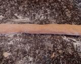 Foto del paso 7 de la receta: Pan trenza de boniato