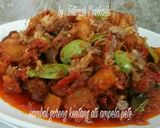 Foto langkah ke 4 dari resep Sambal goreng kentang ati ampela pete.