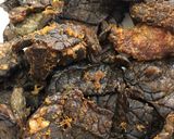 Foto langkah ke 1 dari resep Balado Paru.