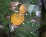 Foto langkah ke 7 dari resep Tegean/ sayur bening kebumen.