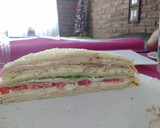Foto del paso 12 de la receta: Torre de panqueques o Fiambre Aleman. Sin gluten !