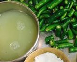 A picture of step 2 of Panipuri pulp..!!! (paste)Frozen recipe ❤️.