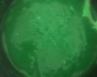 Es Cendol Sehat - Step 2