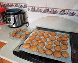 Foto del paso 7 de la receta: Galletas tipo Campurrianas