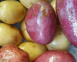 Foto del paso 1 de la receta: Gorditas rellenas de papas en salsa roja