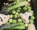 A picture of step 1 of Winter vegetable salad.
