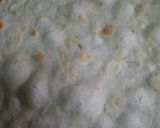 Foto del paso 6 de la receta: Pizza de pan viejo