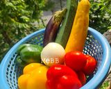 Hình bước làm 1 của món Ratatouille 🐹
