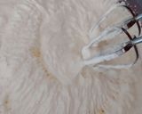 Foto del paso 2 de la receta: Helado casero de durazno con queso