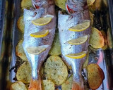 Foto del paso 5 de la receta: Besugos al horno con patatas, infusionados con aceite de tomillo